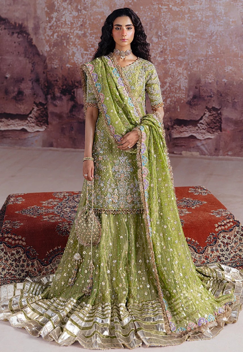 Shadan pakistani fashion outfit with coordinated formal styling.