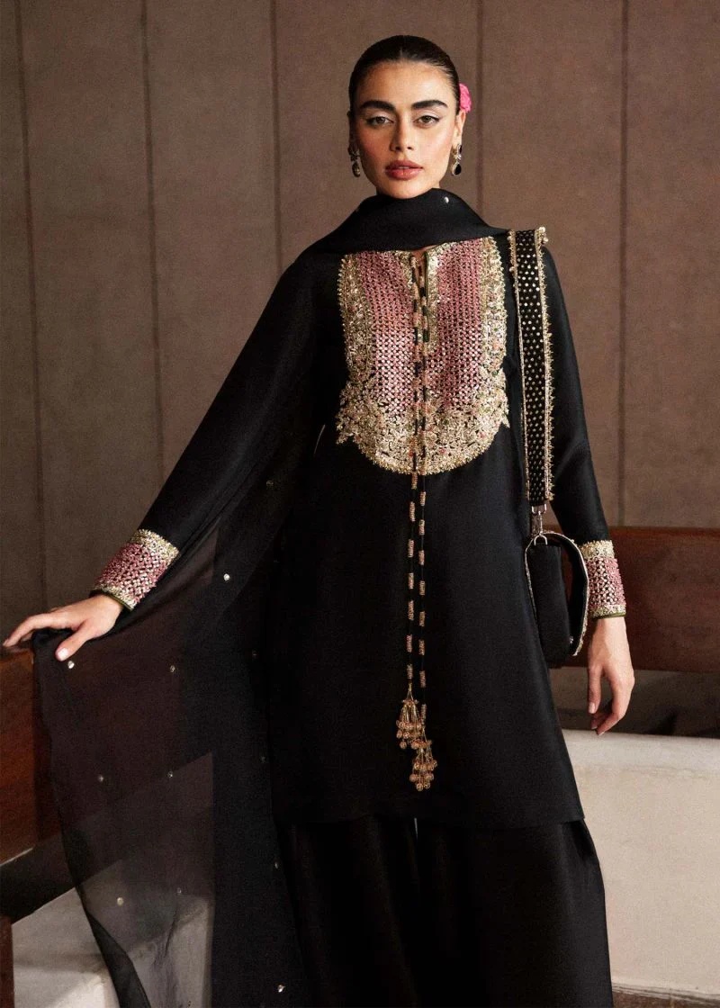 Char pakistani fashion outfit in black tones.