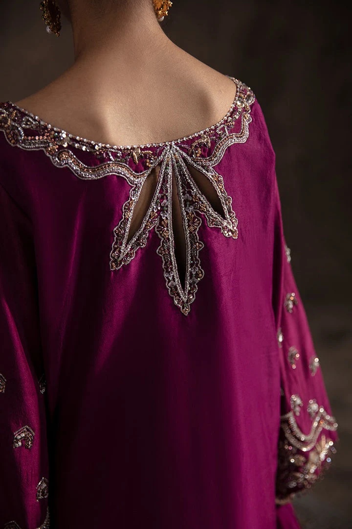 ELIANA pakistani fashion outfit with coordinated formal styling.