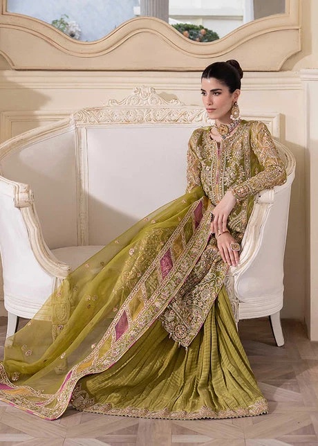 Halena pakistani fashion outfit with coordinated formal styling.