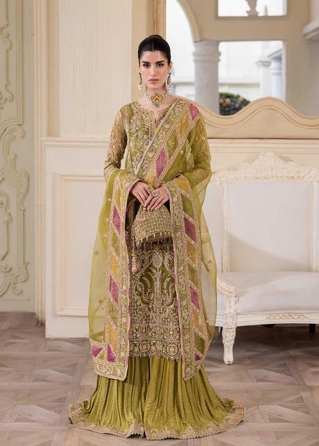 Halena pakistani fashion outfit with coordinated formal styling.