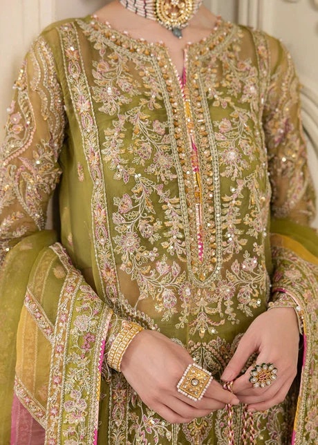 Halena pakistani fashion outfit with coordinated formal styling.