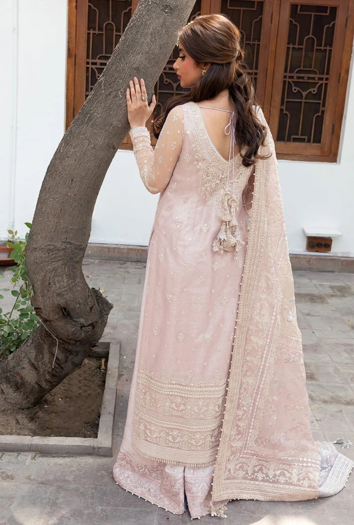Liyan pakistani fashion outfit with coordinated formal styling.