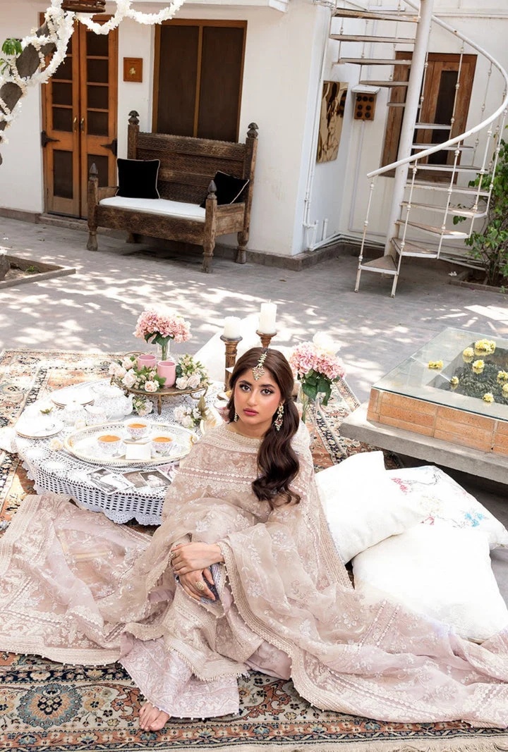 Liyan pakistani fashion outfit with coordinated formal styling.