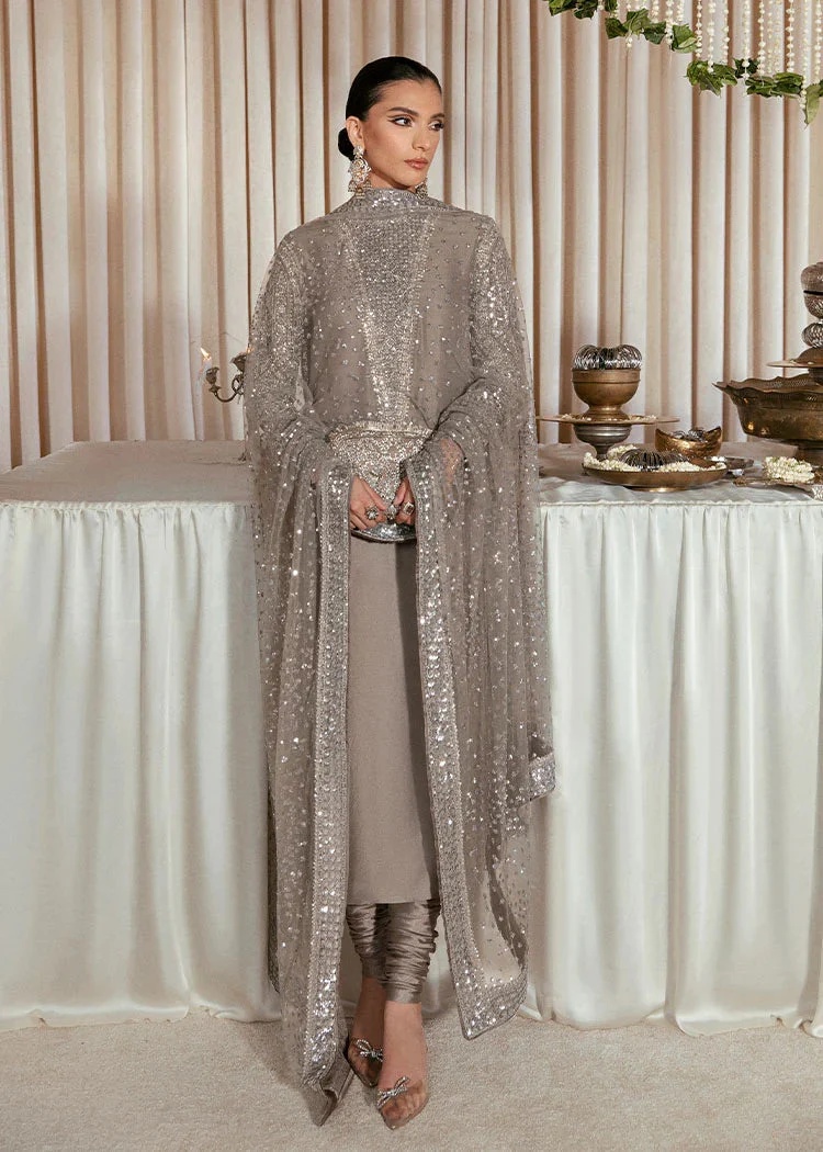 Lucent pakistani fashion outfit in grey, silver tones.
