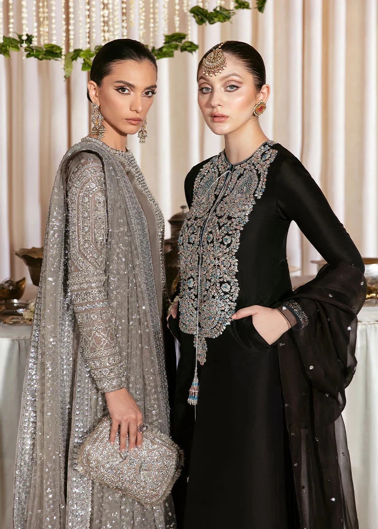 Lucent pakistani fashion outfit in grey, silver tones.