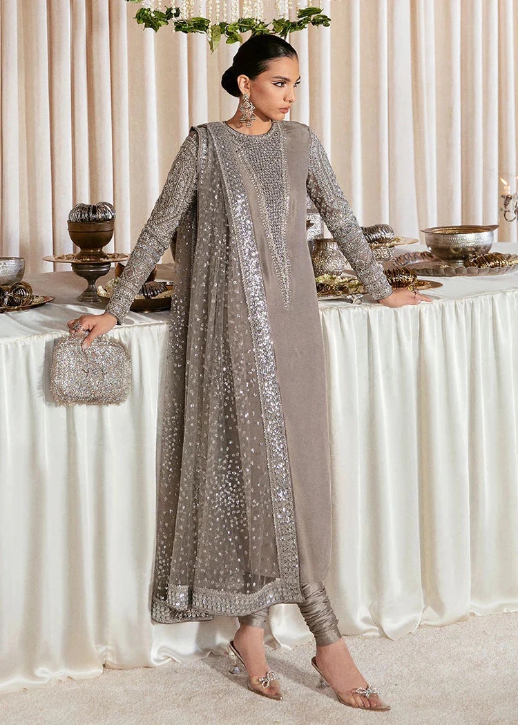 Lucent pakistani fashion outfit in grey, silver tones.