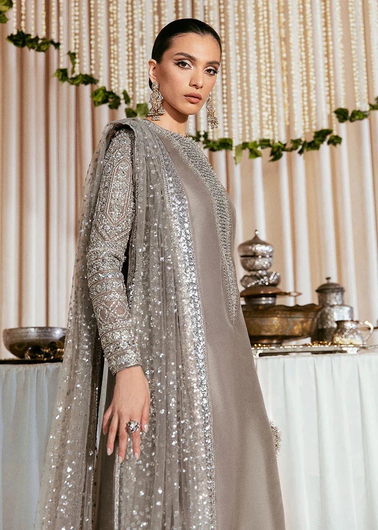 Lucent pakistani fashion outfit in grey, silver tones.
