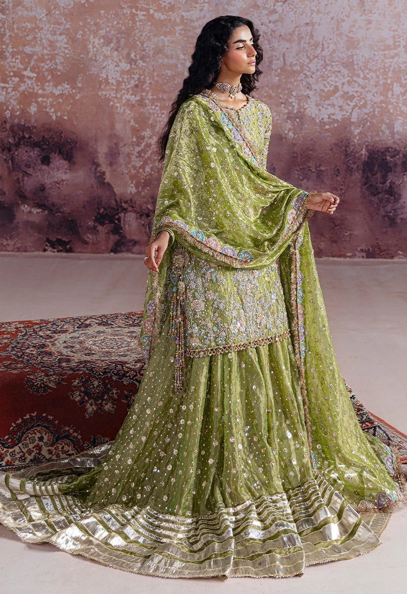 Shadan pakistani fashion outfit with coordinated formal styling.