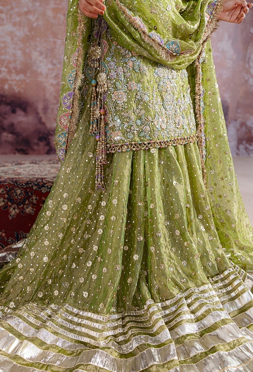 Shadan pakistani fashion outfit with coordinated formal styling.