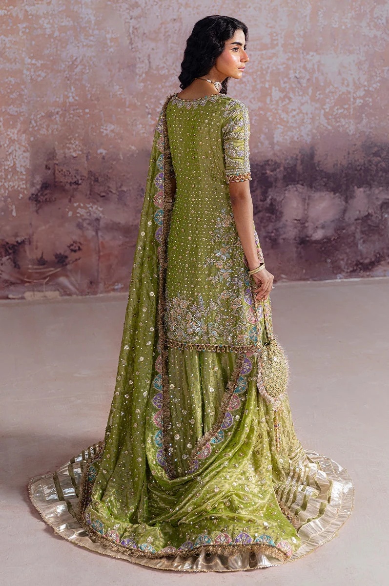 Shadan pakistani fashion outfit with coordinated formal styling.